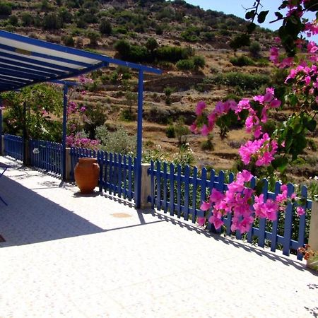 Villa Costa Studios Vathi  Extérieur photo