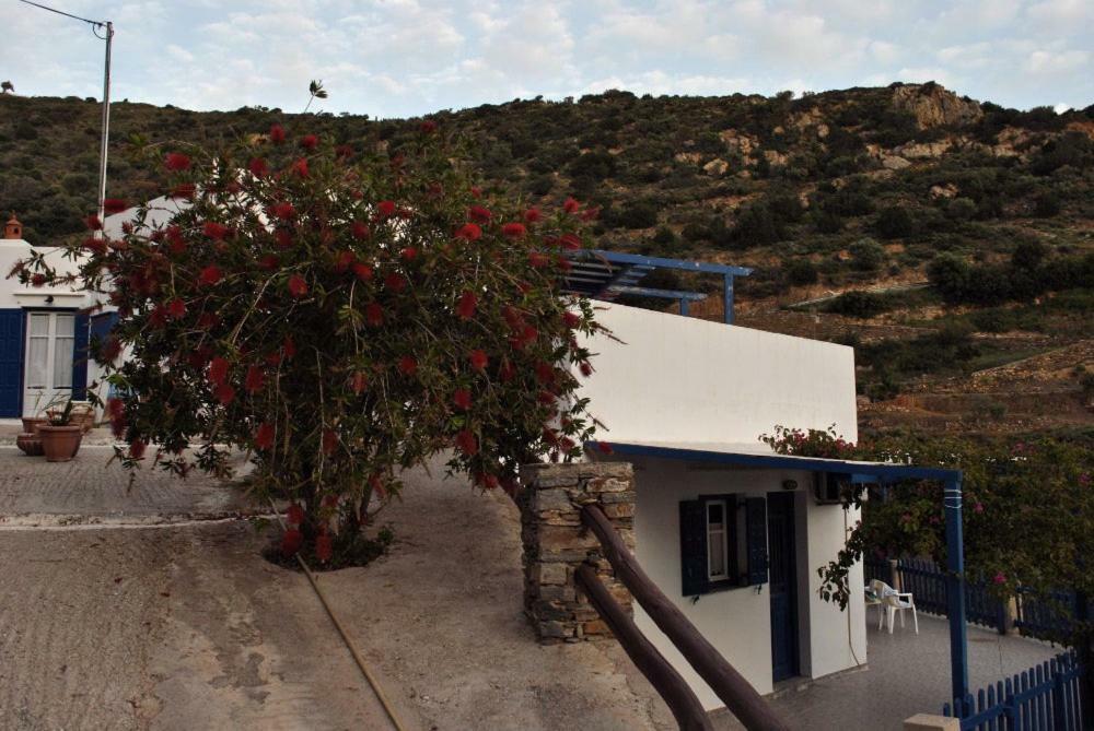 Villa Costa Studios Vathi  Extérieur photo