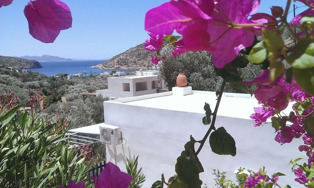 Villa Costa Studios Vathi  Extérieur photo