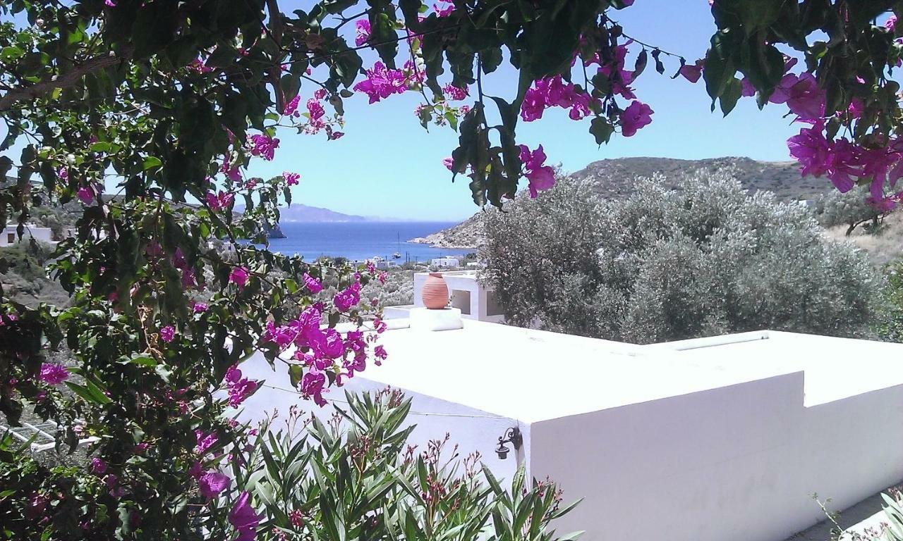 Villa Costa Studios Vathi  Extérieur photo